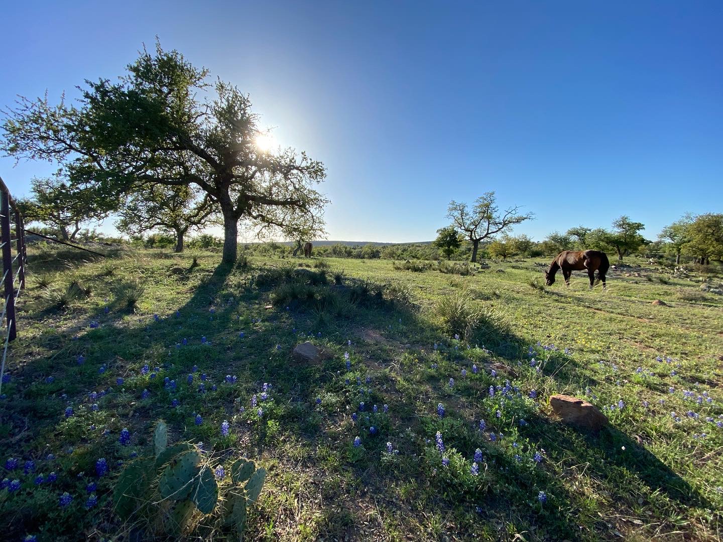 San Antonio — photograph 4 by Jesse Kanner