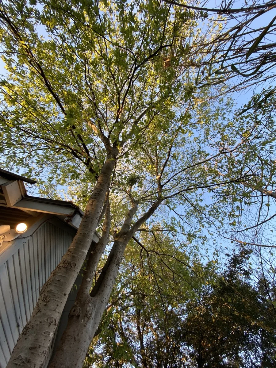 San Antonio — photograph 8 by Jesse Kanner