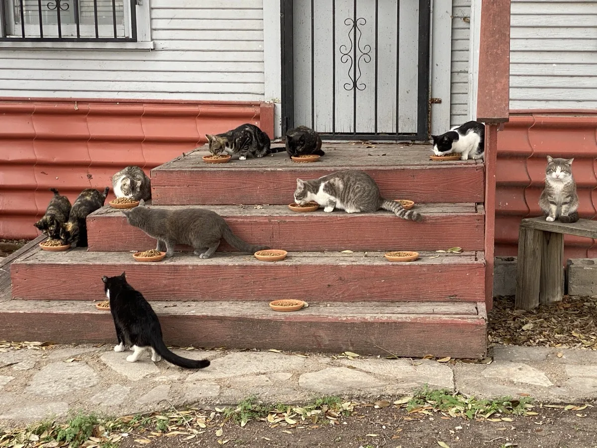 San Antonio — photograph 10 by Jesse Kanner