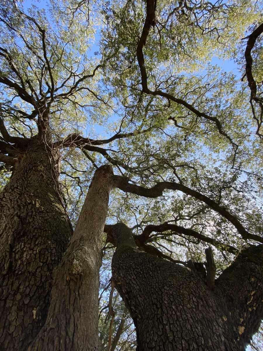 San Antonio — photograph 32 by Jesse Kanner