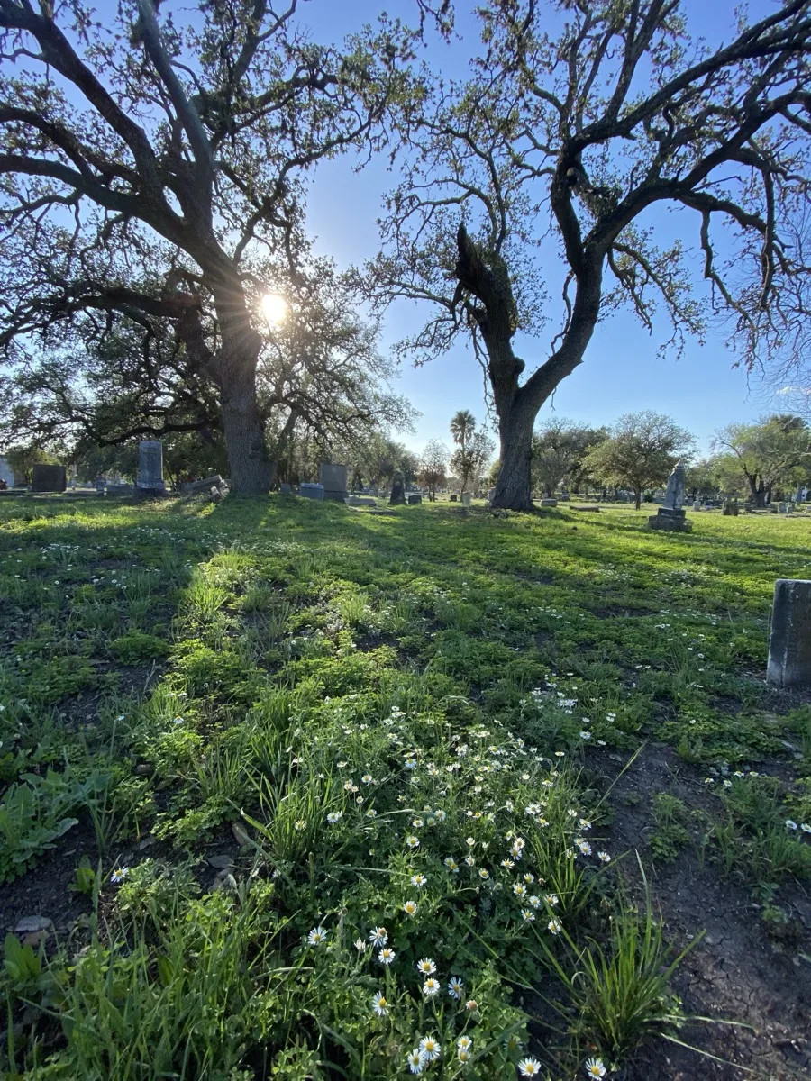 San Antonio — photograph 40 by Jesse Kanner